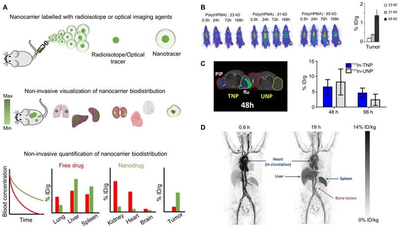 Theranostics Image