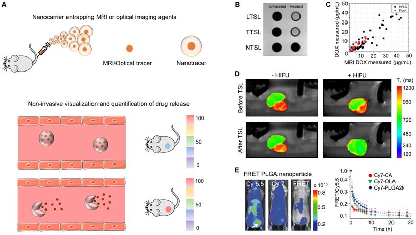 Theranostics Image