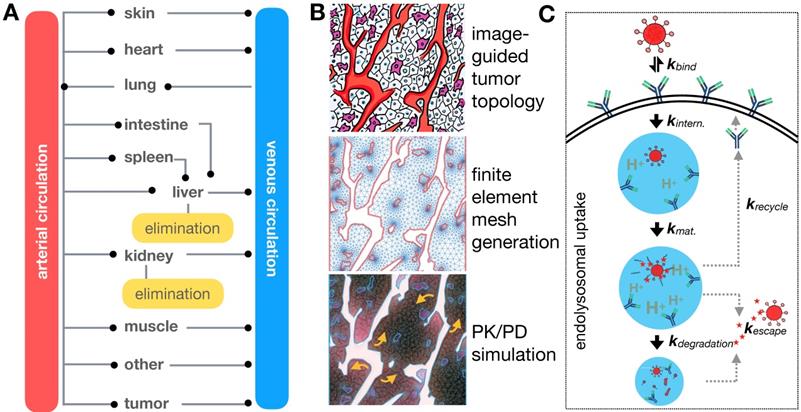 Theranostics Image