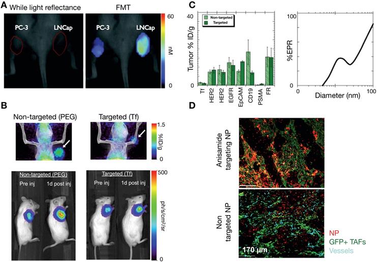 Theranostics Image