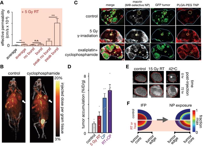 Theranostics Image