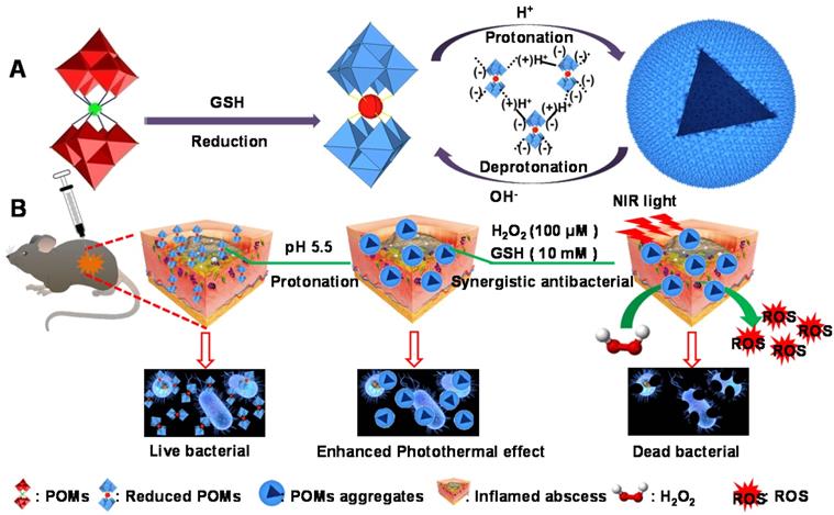 Theranostics Image