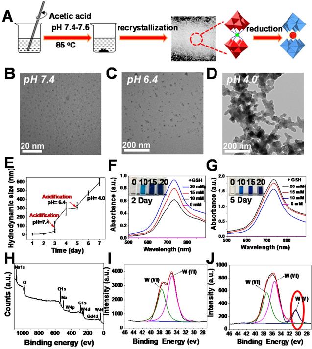 Theranostics Image