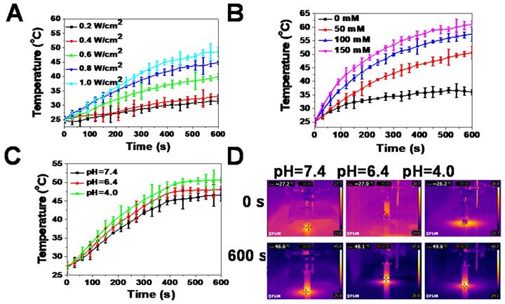 Theranostics Image