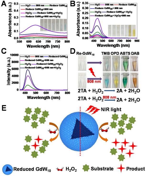 Theranostics Image