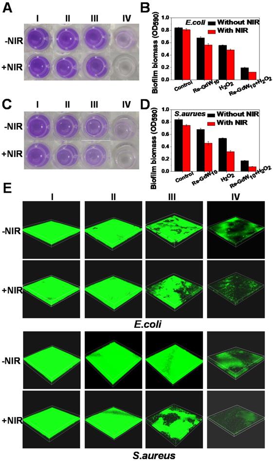 Theranostics Image