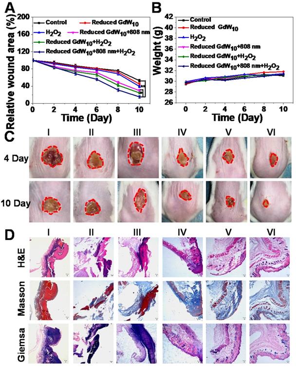 Theranostics Image