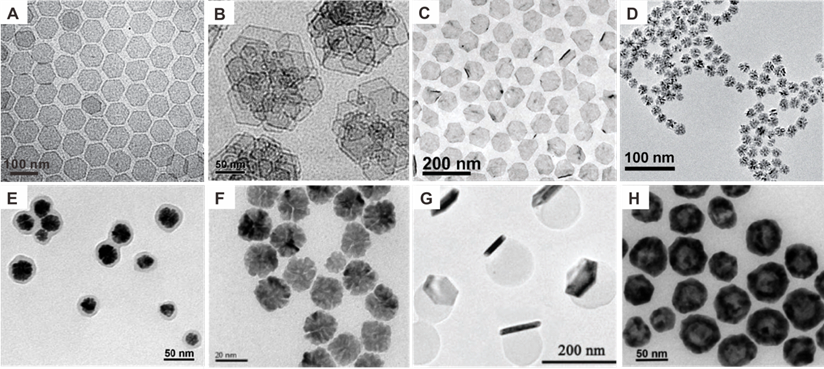 Theranostics Image