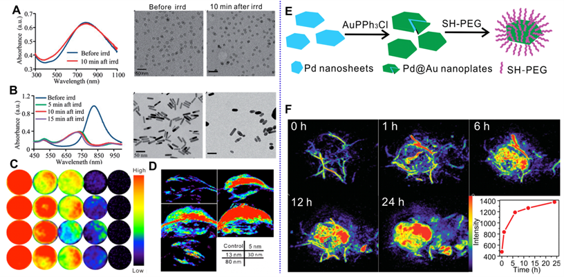 Theranostics Image