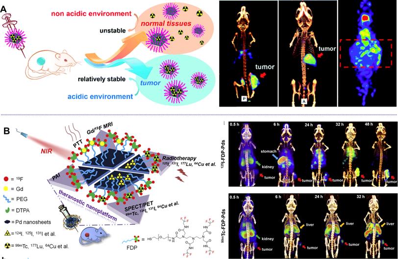 Theranostics Image