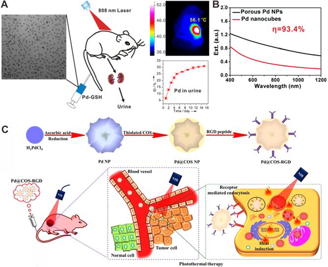 Theranostics Image