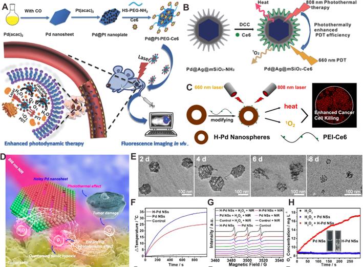 Theranostics Image