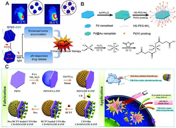 Theranostics Image