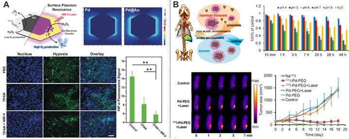 Theranostics Image