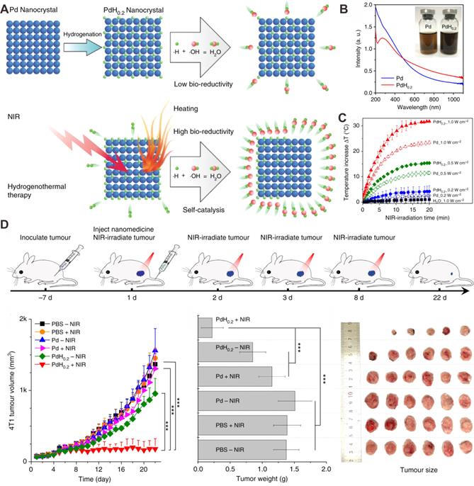 Theranostics Image