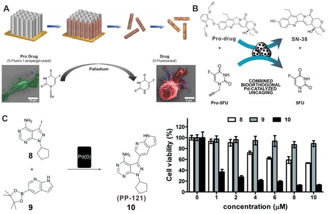 Theranostics Image