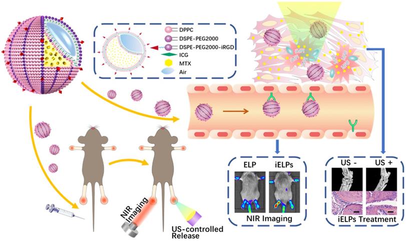 Theranostics Image