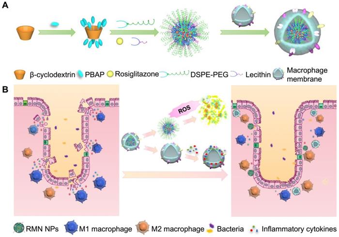 Theranostics Image