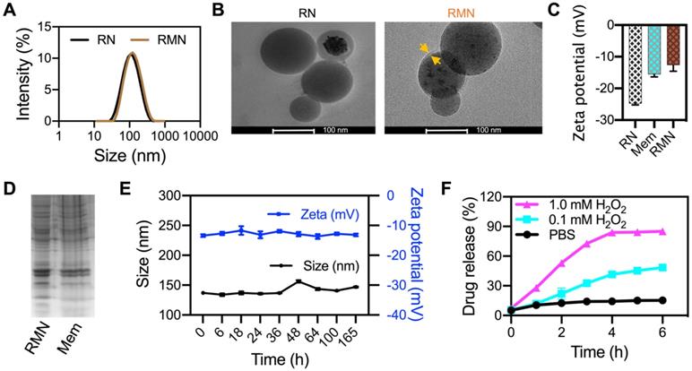 Theranostics Image