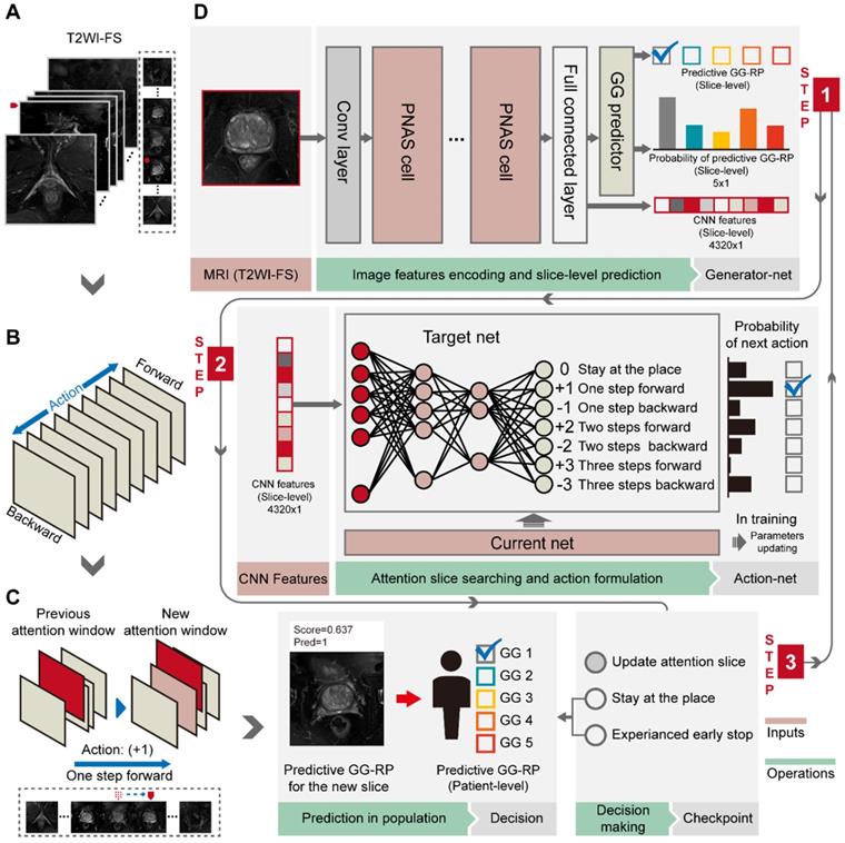 Theranostics Image