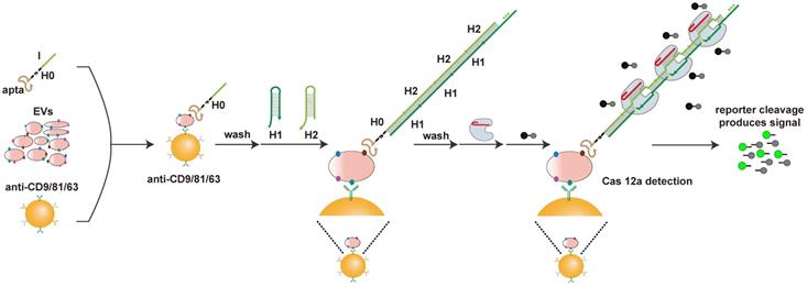 Theranostics Image