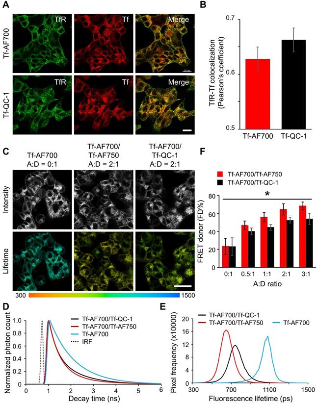 Theranostics Image