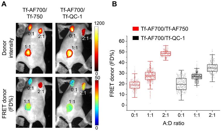 Theranostics Image