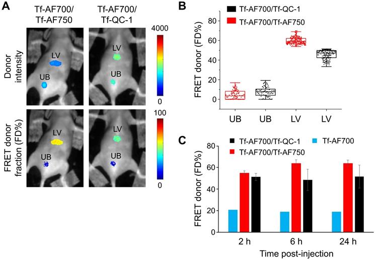 Theranostics Image