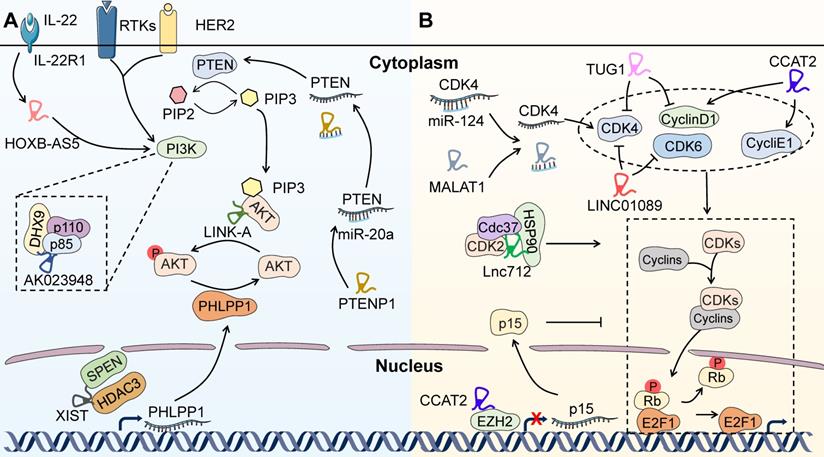 Theranostics Image