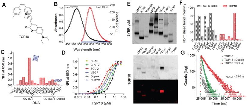 Theranostics Image