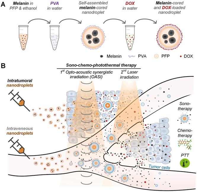 Theranostics Image