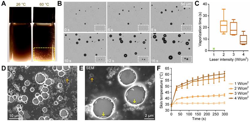 Theranostics Image