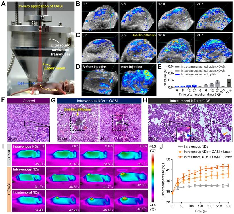 Theranostics Image