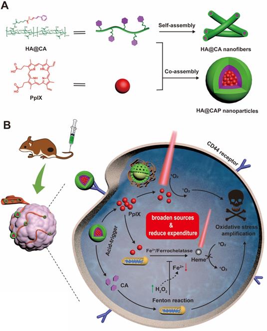 Theranostics Image