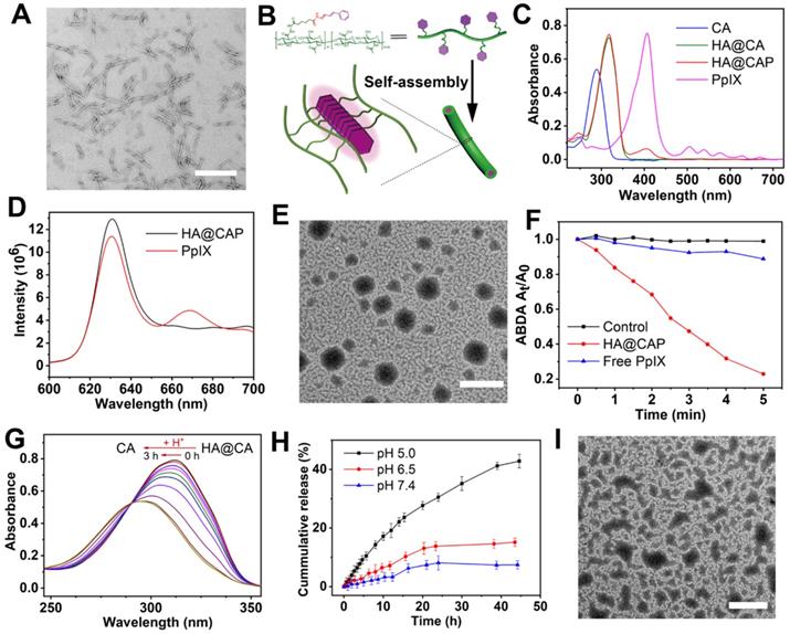 Theranostics Image