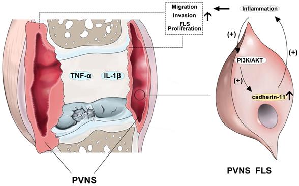 Theranostics Image