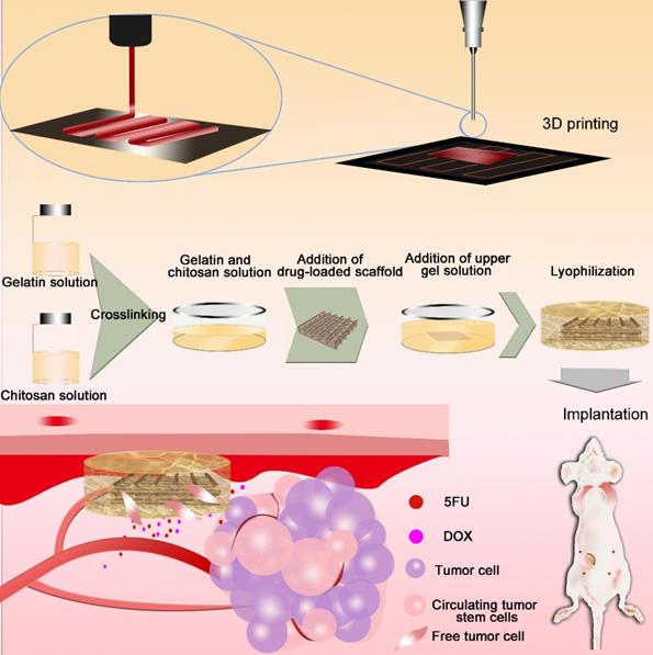 Theranostics Image