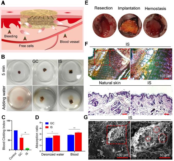 Theranostics Image