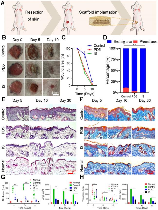 Theranostics Image