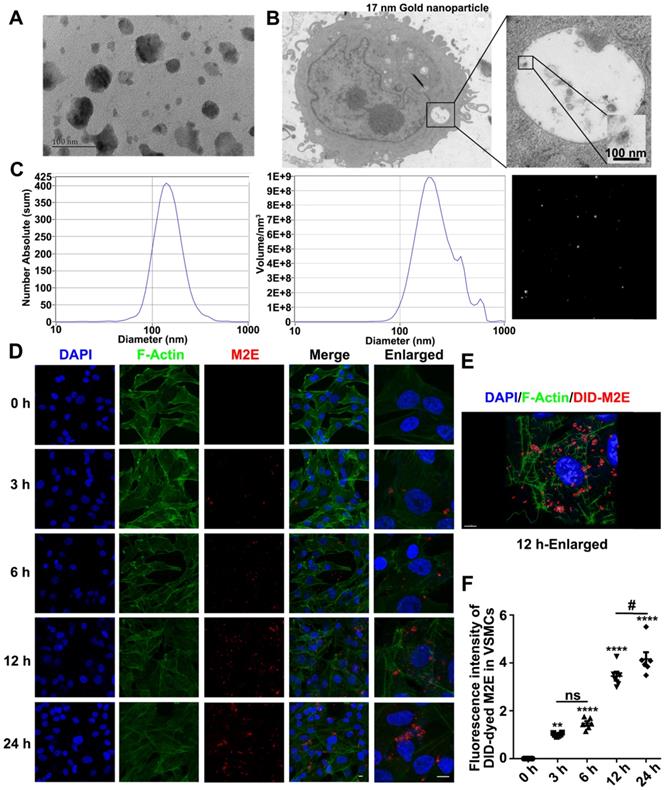 Theranostics Image