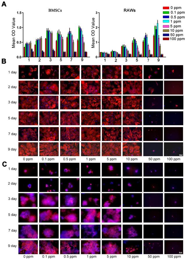 Theranostics Image