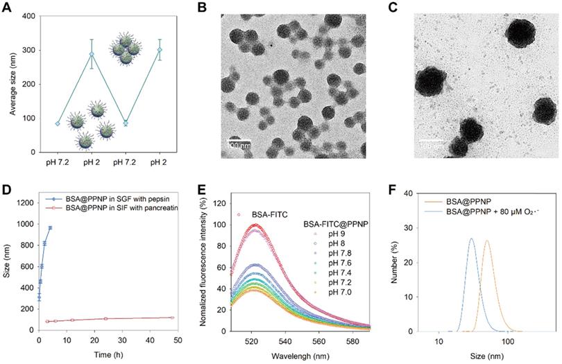 Theranostics Image