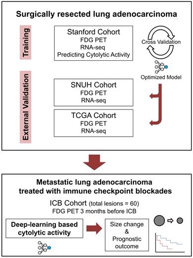 Theranostics Image