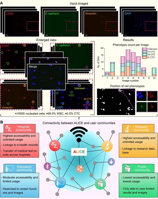 Theranostics Image