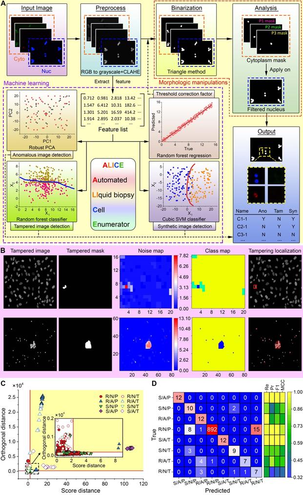 Theranostics Image