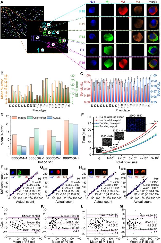 Theranostics Image