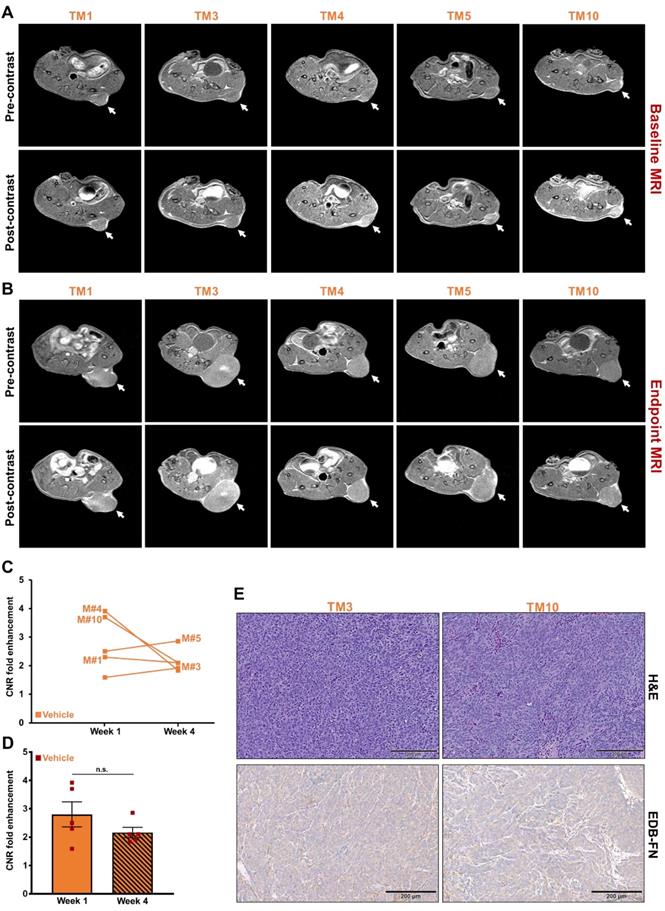 Theranostics Image