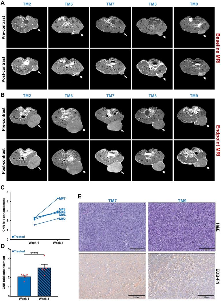 Theranostics Image