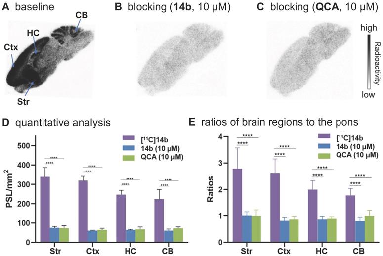 Theranostics Image