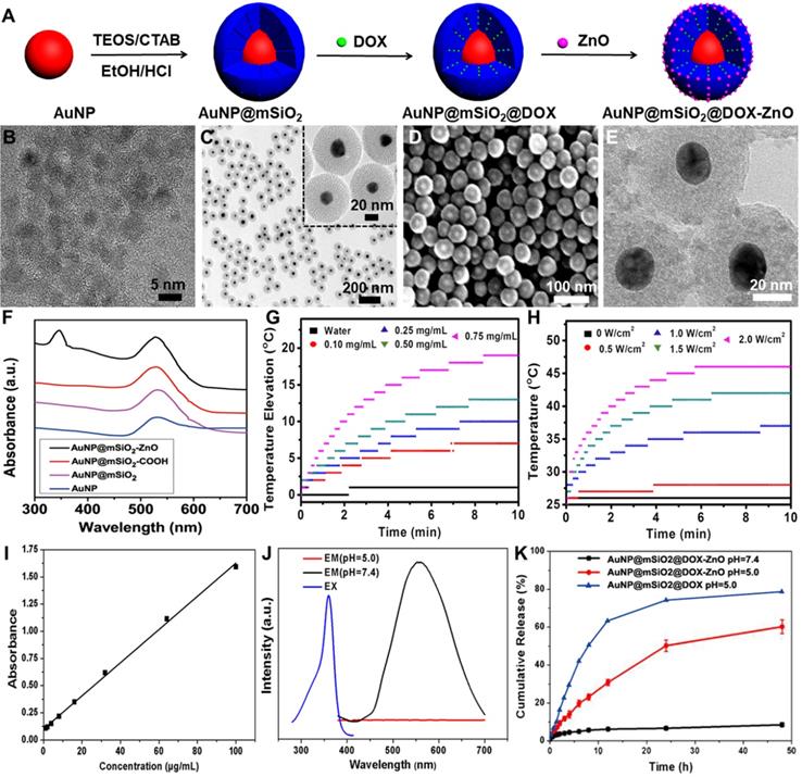 Theranostics Image